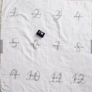 Like New! Pottery Barn Milestone Blanket